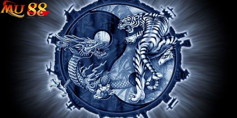 Các thuật ngữ phổ biến khi anh em tham gia chơi bài Dragon Tiger